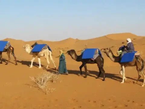 Mhamid Camel Trek – 4 Days